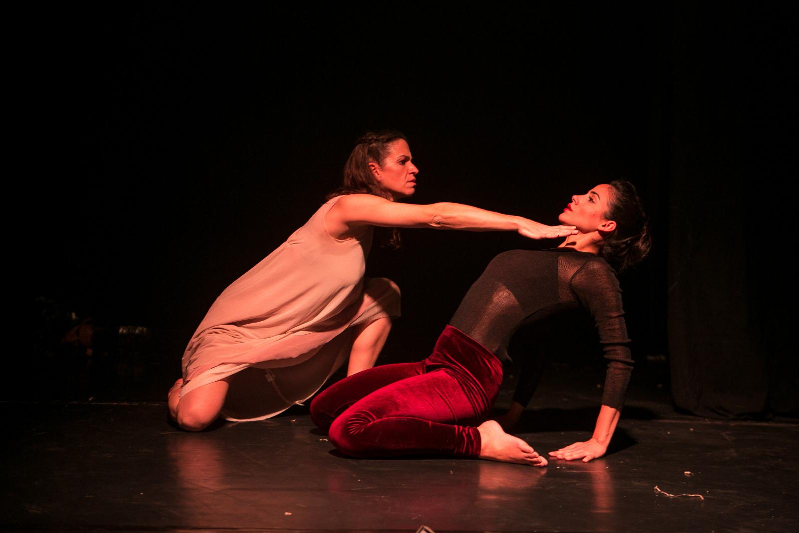 צילום: סלי פטל